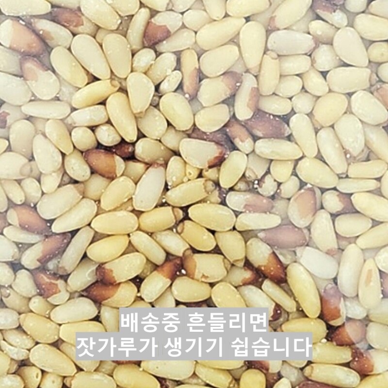 태기산잣,국내산 태기산잣 작은알잣 1kg 황잣 백잣
