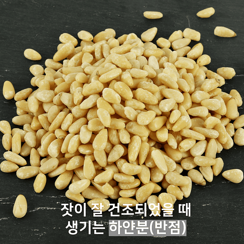 태기산잣,국내산 태기산잣 잣선물세트 5캔 700g 황잣 백잣 견과류 산지직송